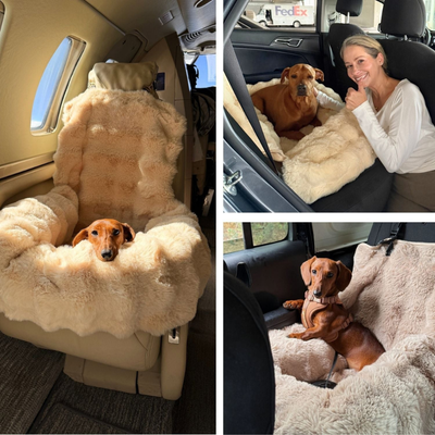LUXURIOUS COZY CAR BED - Zannari™