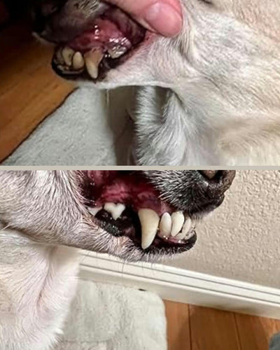 Customer testimonial video