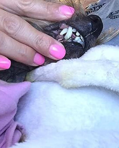 Customer testimonial video