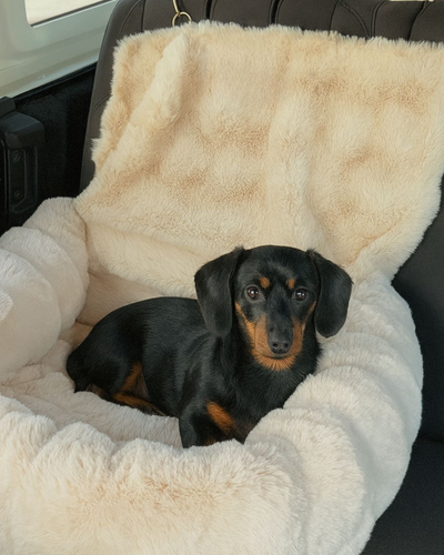 Customer testimonial video