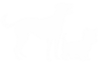 Effective on small and large dogs