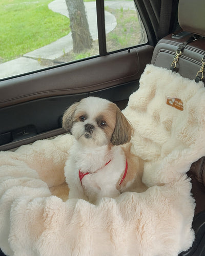 Customer testimonial video