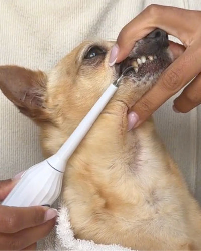 Customer testimonial video