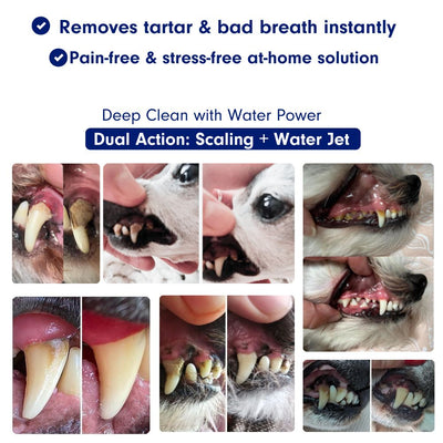Zannari™ - Silent Sonic Plaque & Tartar Remover for dogs
