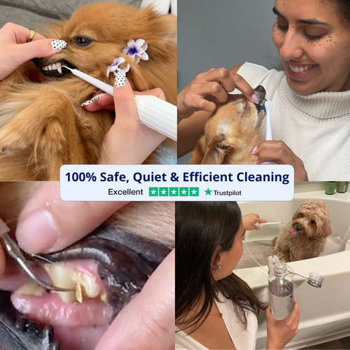 Zannari™ - Silent Sonic Plaque & Tartar Remover for dogs