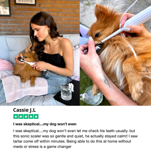 Zannari™ - Silent Sonic Plaque & Tartar Remover for dogs