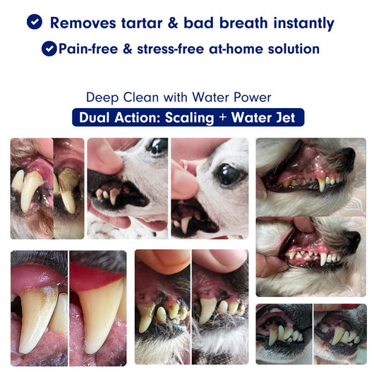 Zannari™ - Silent Sonic Plaque & Tartar Remover for dogs
