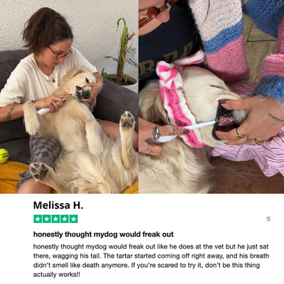 Zannari™ - Silent Sonic Plaque & Tartar Remover for dogs