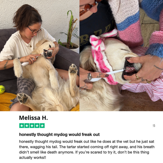 Zannari™ - Silent Sonic Plaque & Tartar Remover for dogs