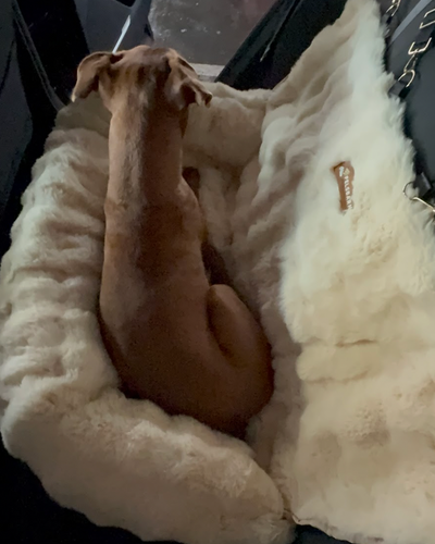 Customer testimonial video