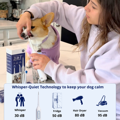 Zannari™ - Silent Sonic Plaque & Tartar Remover for dogs