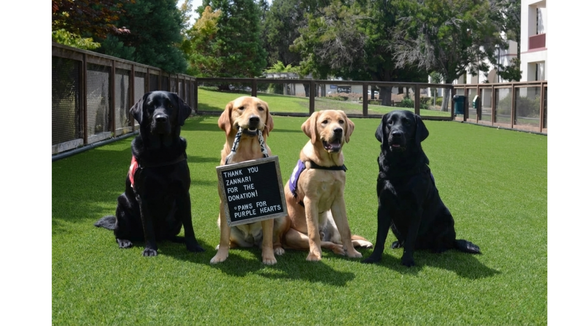 Feature product image